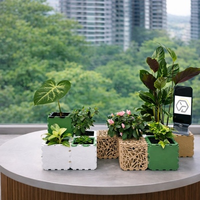 Mini Gardens - Gallery